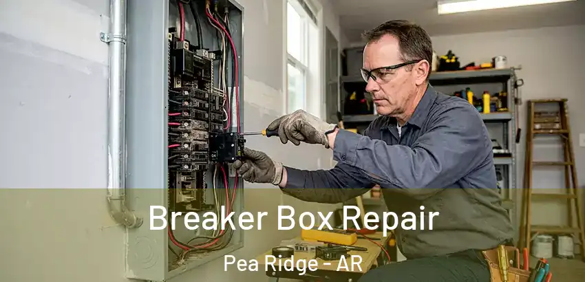  Breaker Box Repair Pea Ridge - AR