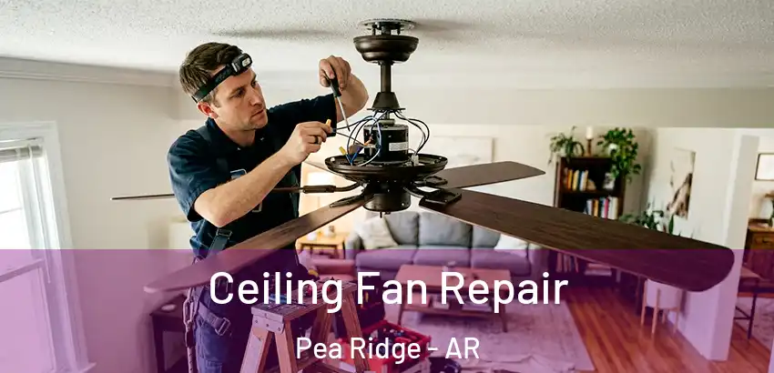  Ceiling Fan Repair Pea Ridge - AR