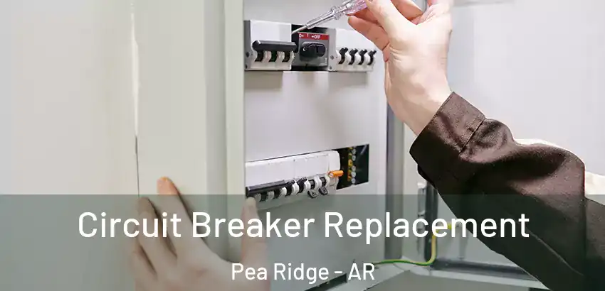 Circuit Breaker Replacement Pea Ridge - AR