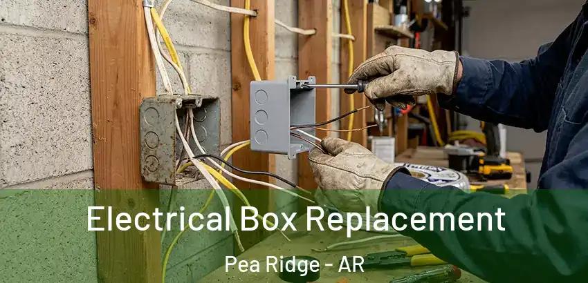  Electrical Box Replacement Pea Ridge - AR