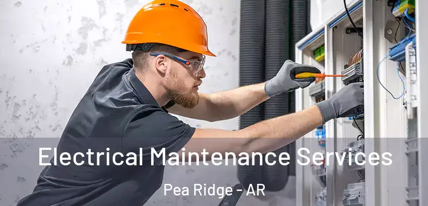 Electrical Maintenance Services Pea Ridge - AR