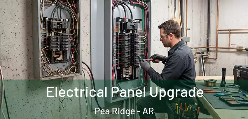  Electrical Panel Upgrade Pea Ridge - AR