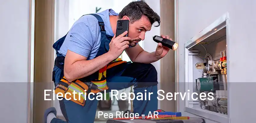 Electrical Repair Services Pea Ridge - AR