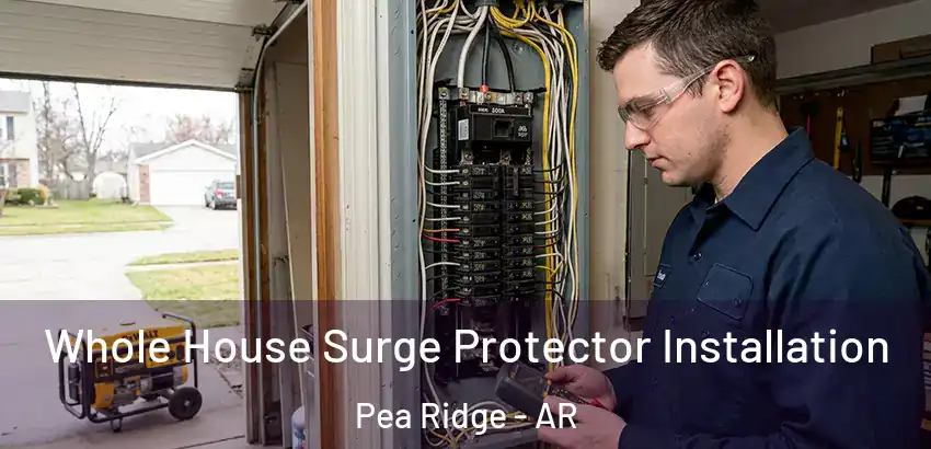 Whole House Surge Protector Installation Pea Ridge - AR